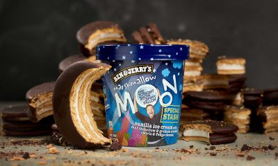 Ben & Jerry's Special Stash Marshmallow Moon